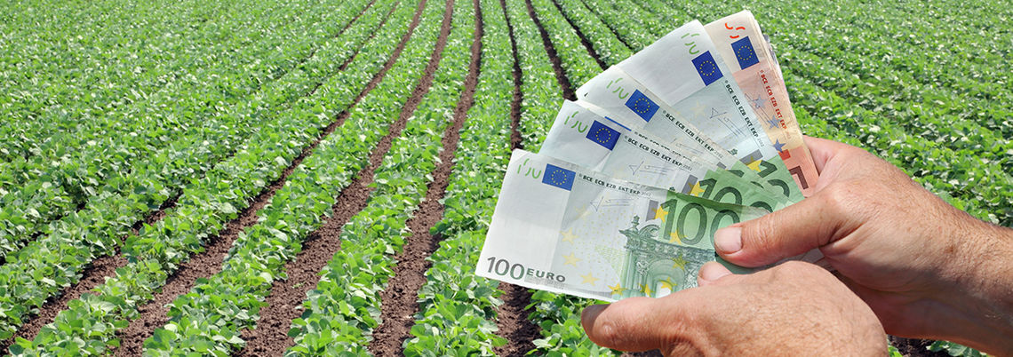 Foto: sima/Shutterstock.com beratung-foedermoeglichkeiten-niedersachsen