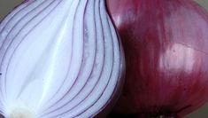 Public Affairs und Netzwerke