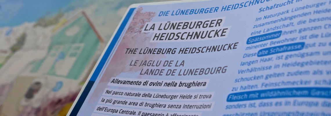 Foto: Marketinggesellschaft expo-niedersachsen