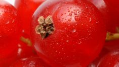 Verkaufen und Märkte entwickeln