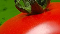 Erfolgreich auf der Messe