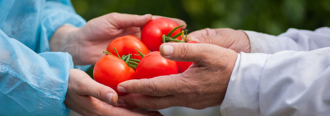 direktvermarkter-lebensmitteleinzelhandel