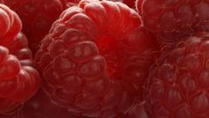 Managementwissen entwickeln