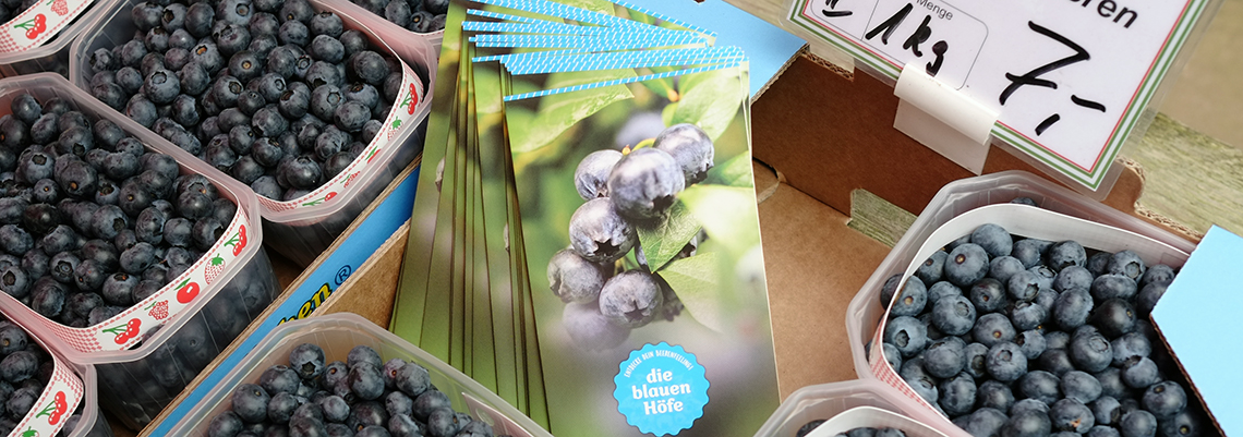 Flyer "Die blauen Höfe" blaue-hoefe-niedersachsen-heidelbeeren